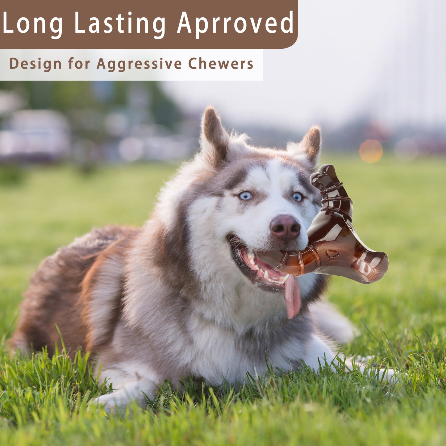 Beef-Flavored Dog Chew Toy NZ | Plush Interactive Toy for Puppies & Large Dogs – PawNest