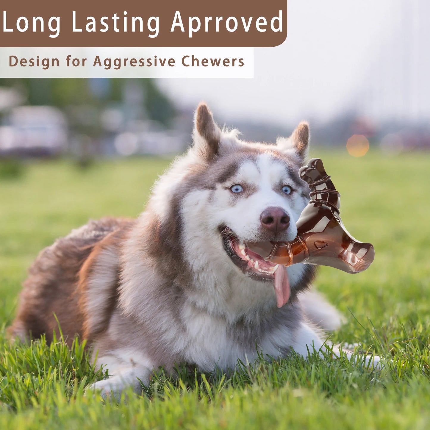 Beef-Flavored Dog Chew Toy NZ | Plush Interactive Toy for Puppies & Large Dogs – PawNest