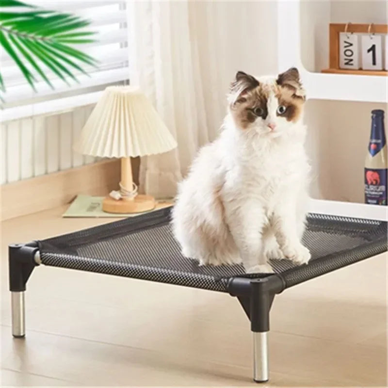 Folding Elevated Pet Bed NZ | Washable Camping Dog & Cat Cot – PawNest