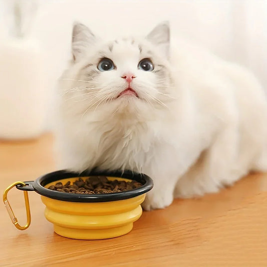 350ml Collapsible Silicone Pet Bowl – Portable Travel Dog Bowl