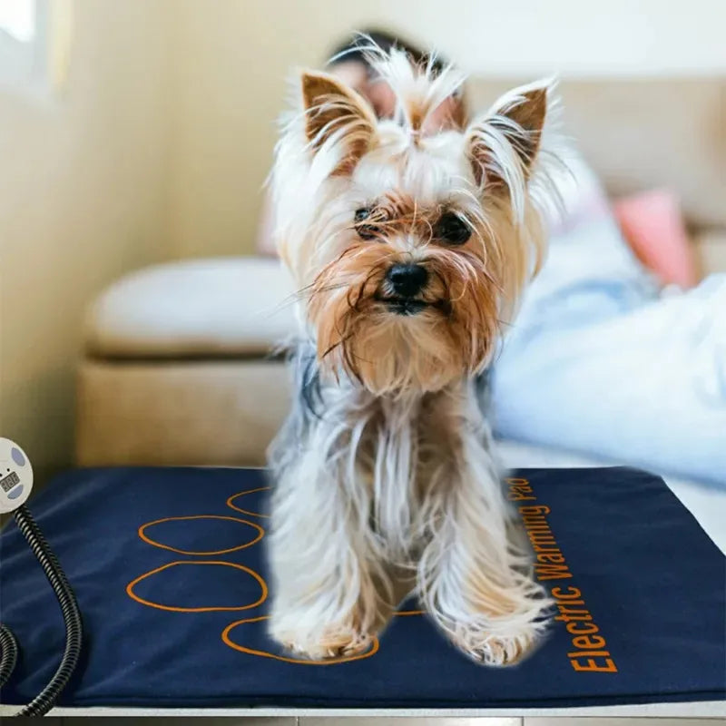 45×60cm Electric Pet Heating Pad NZ | Waterproof Adjustable Dog & Cat Warmer – PawNest