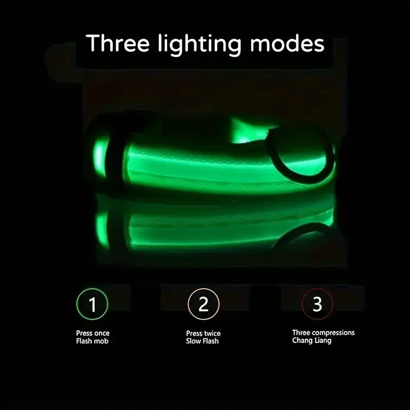 Light Up LED Dog Collar – Safety Flashing Glow Battery Collar