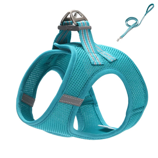Adjustable Dog Harness Vest & Walking Leash NZ | Medium Dogs & Cats – PawNest