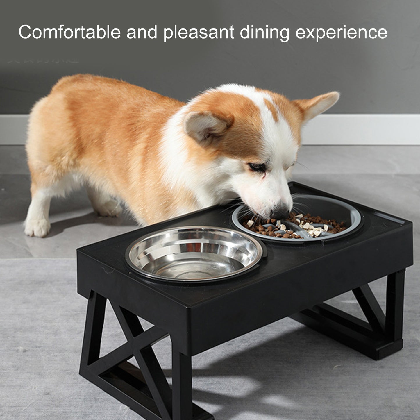 Slow Feeder Dog Bowl NZ | Improve Digestion & Prevent Choking – Safe Slow Eating Accessory – PawNest