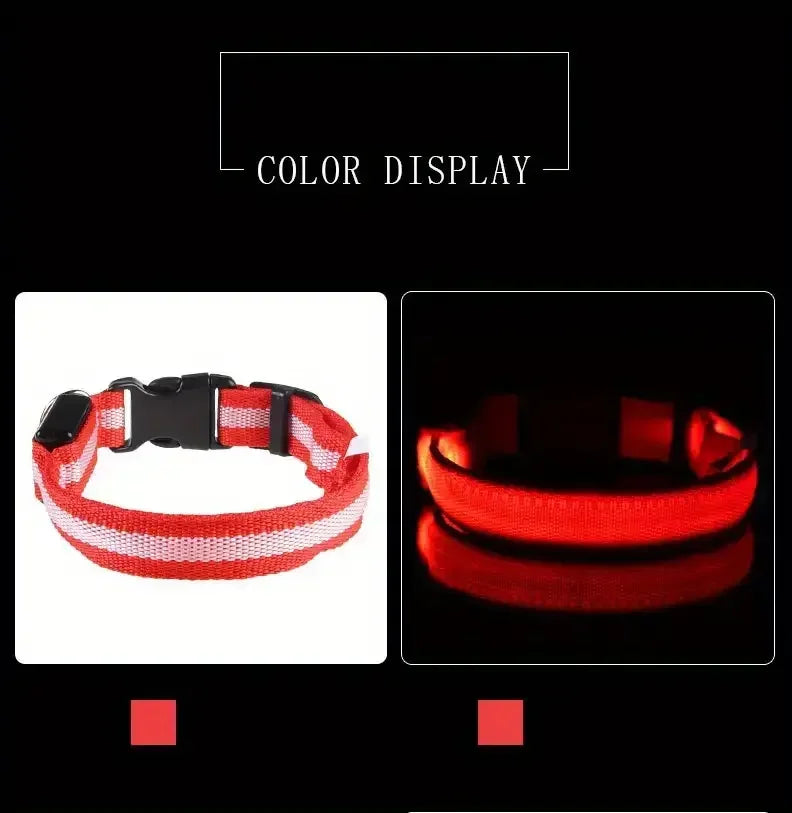 Light Up LED Dog Collar – Safety Flashing Glow Battery Collar