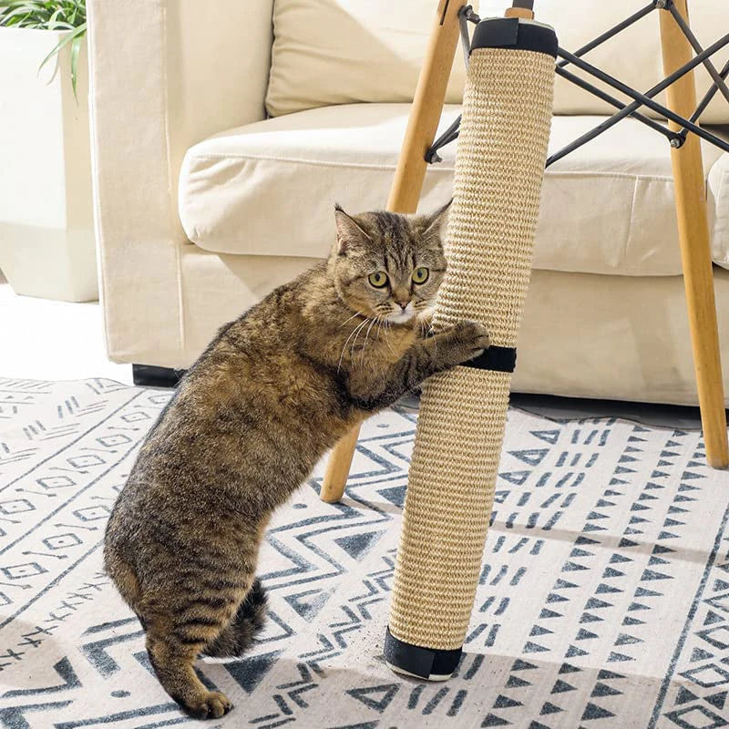 Cat Scratch Guard Mat NZ | Furniture & Sofa Protector with Claw Grinding for Cats – PawNest