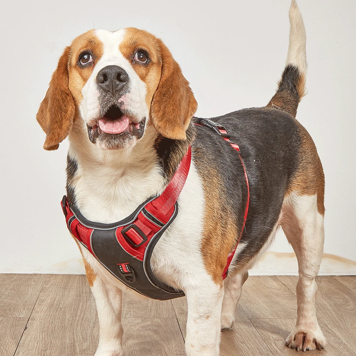 No-Pull Dog Harness NZ | Adjustable Reflective Safety Vest for Medium & Large Dogs – PawNest