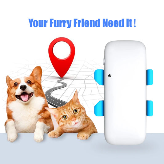 Global Pet Tracker NZ | Waterproof GPS Dog & Cat Tracker with App – Low Service Fee – PawNest
