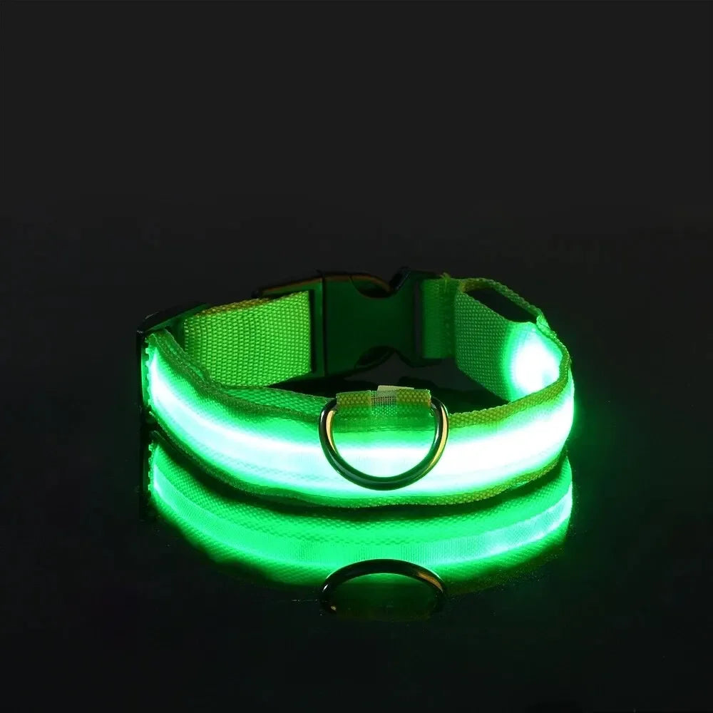 Light Up LED Dog Collar – Safety Flashing Glow Battery Collar
