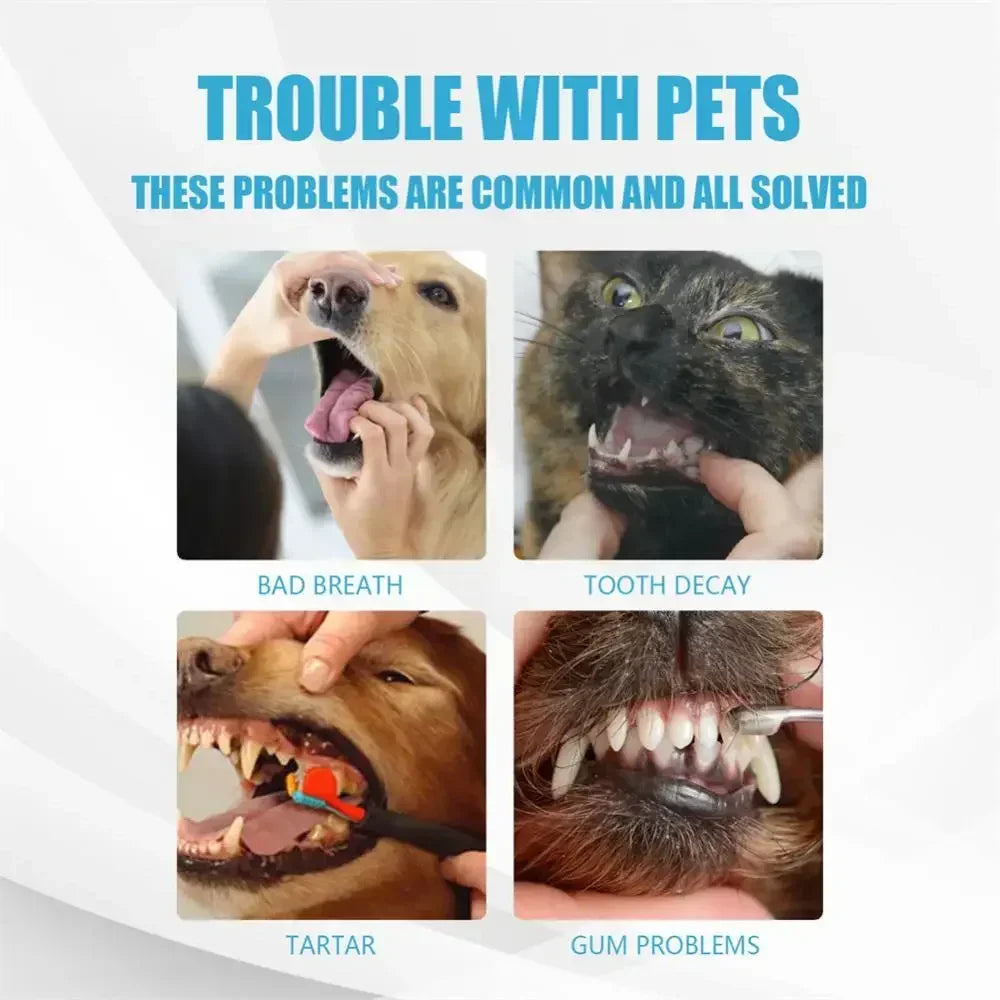 Pet Toothpaste NZ – 60g Tartar & Breath Cleaner for Cats & Dogs | PawNest
