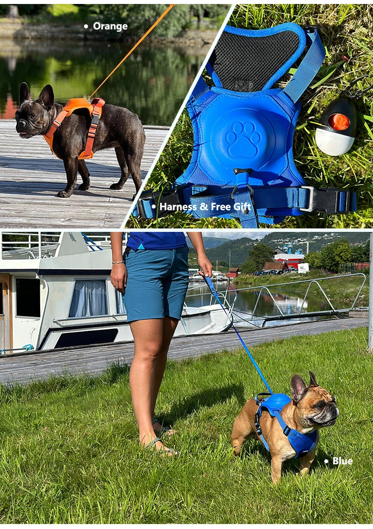Breathable Explosion-Proof Dog Harness NZ | Adjustable Vest for Medium & Large Dogs Outdoor Training – PawNest
