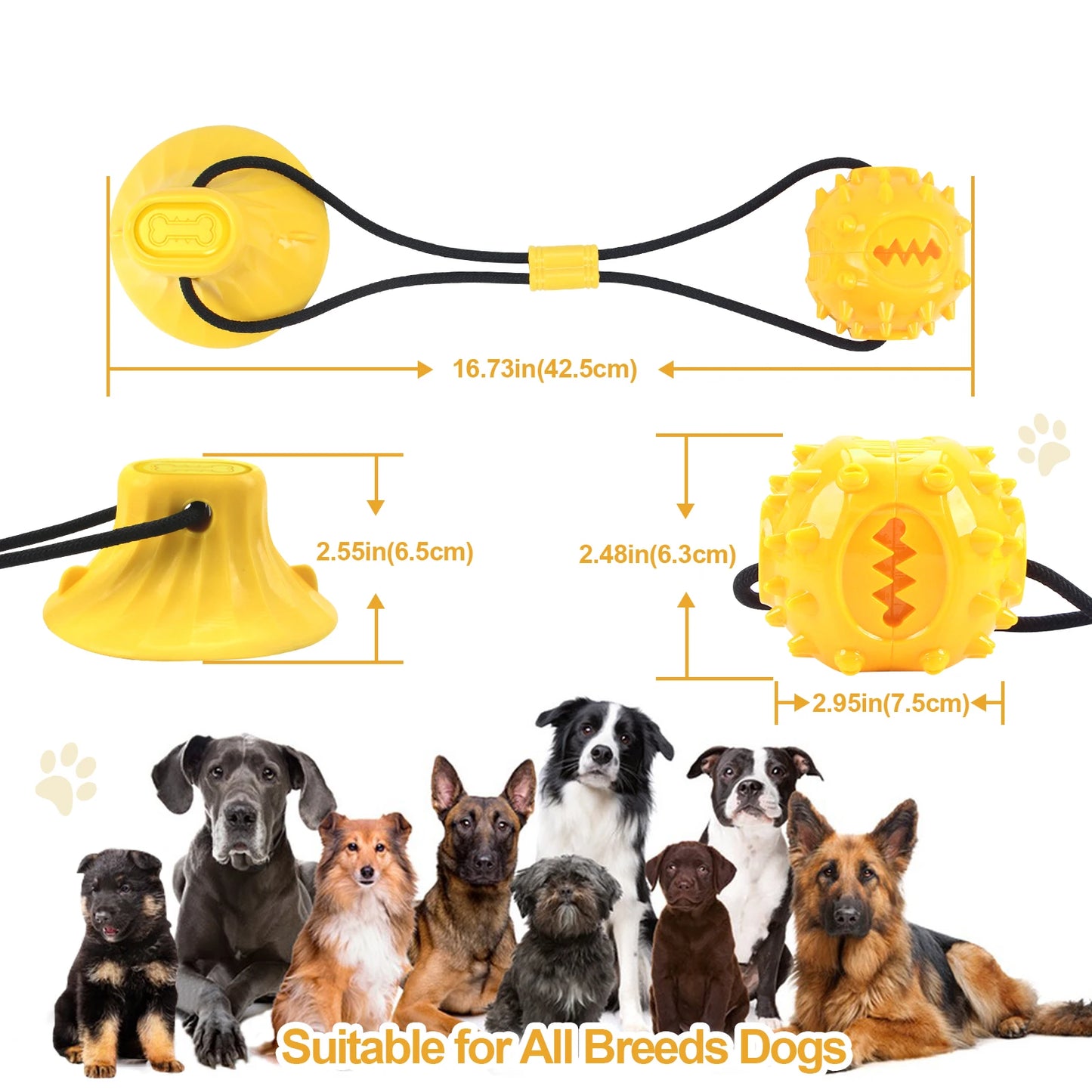 Dog Chew Toy Balls NZ | Rubber Teeth Cleaning & Treat Dispensing Balls for Dogs & Cats – PawNest