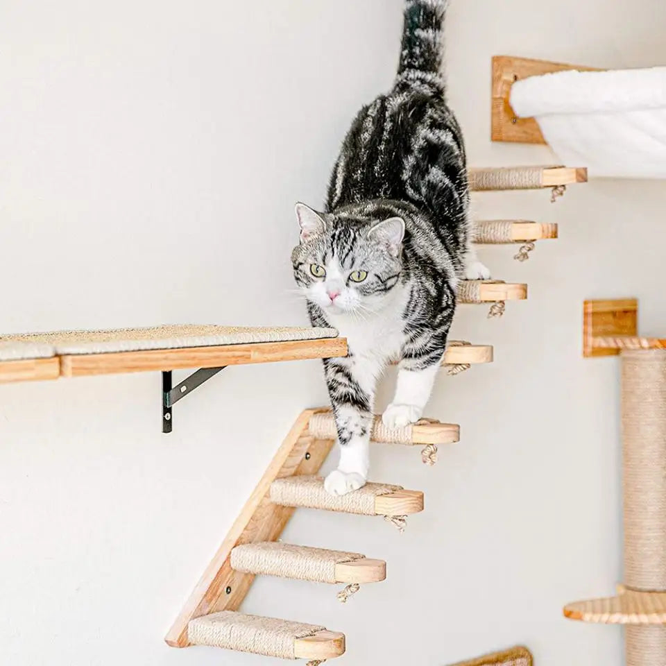 Cat Climbing Shelf Furniture NZ | Wall-Mounted Wooden Cat Shelves & Scratching Perches – PawNest