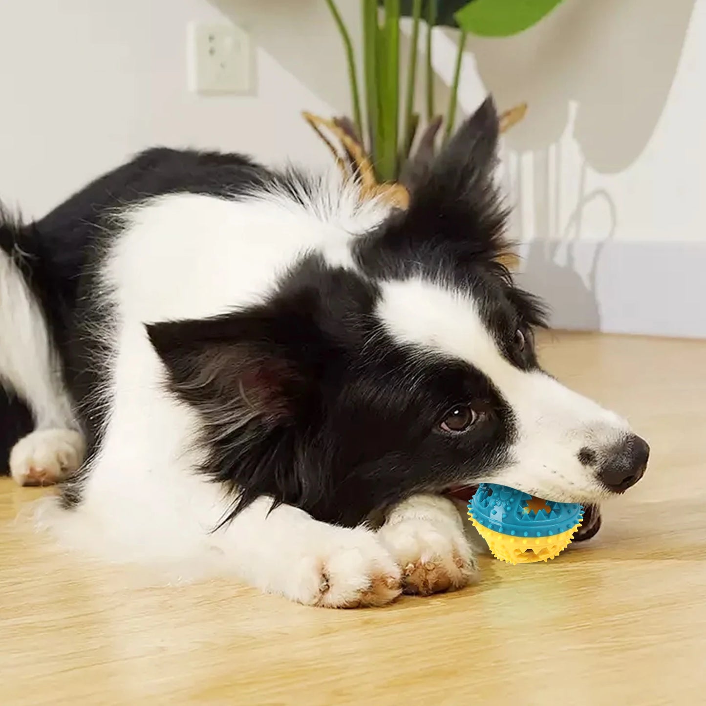 Dog Chew Toy Balls NZ | Rubber Teeth Cleaning & Treat Dispensing Balls for Dogs & Cats – PawNest