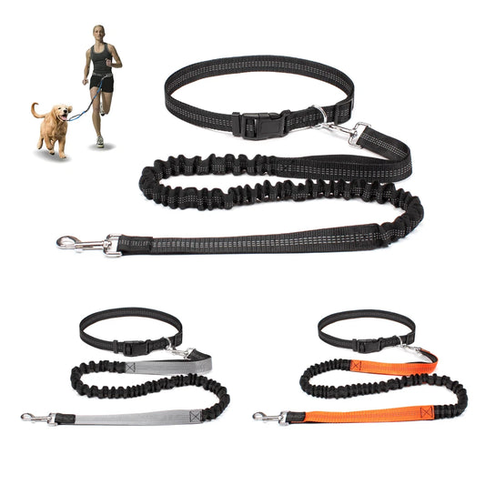 Hands-Free Dog Leash NZ | Adjustable Waist Belt & Chest Strap for Running, Walking & Jogging with Pets