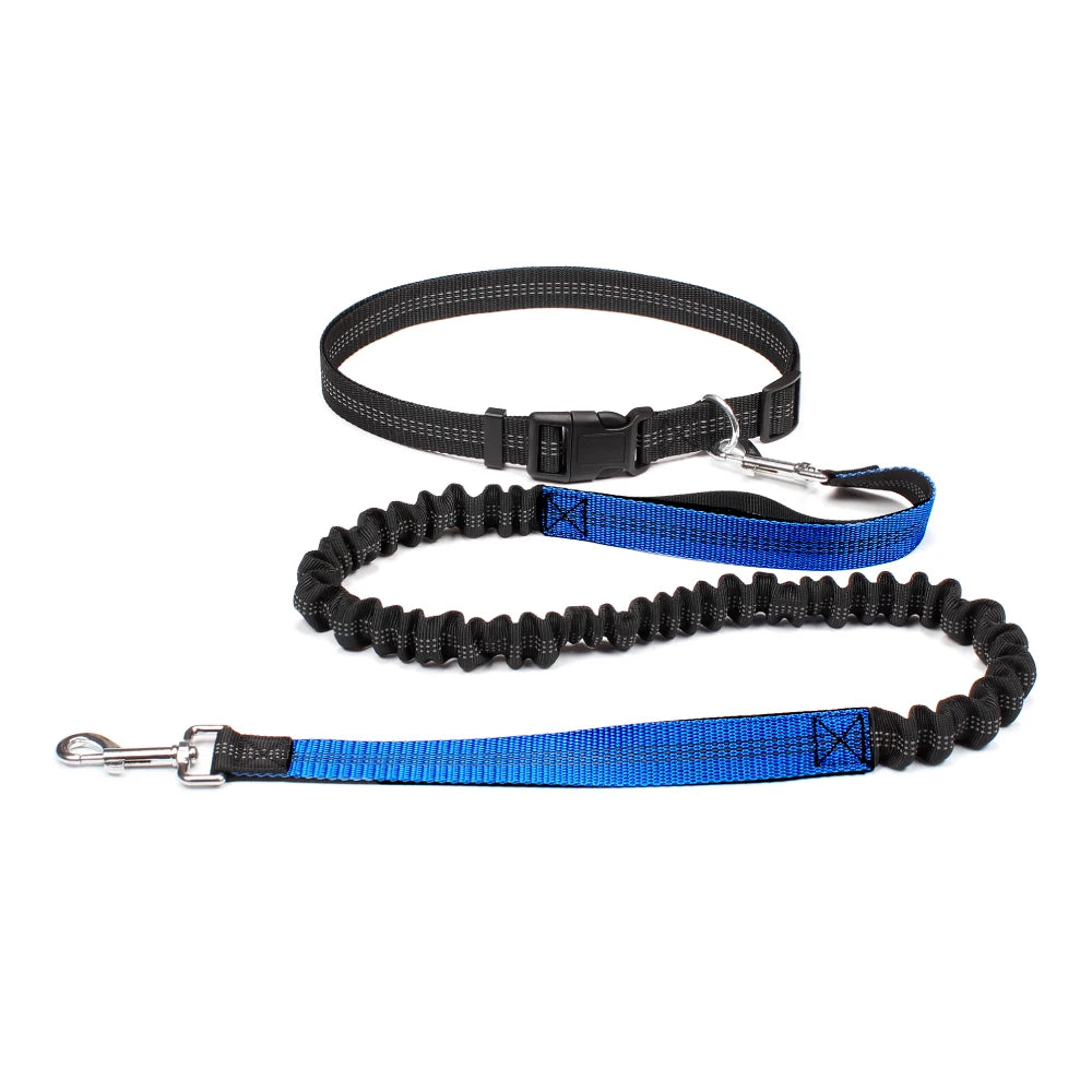 Hands-Free Dog Leash NZ | Adjustable Waist Belt & Chest Strap for Running, Walking & Jogging with Pets