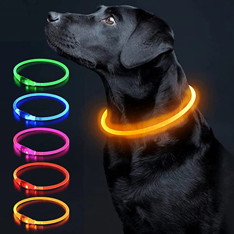 Luminous Dog Collar Light – USB Rechargeable LED Safety Collar