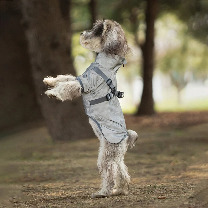 Reflective Waterproof Dog Raincoat NZ | Outdoor Spring Hoodie for Small & Medium Dogs – PawNest