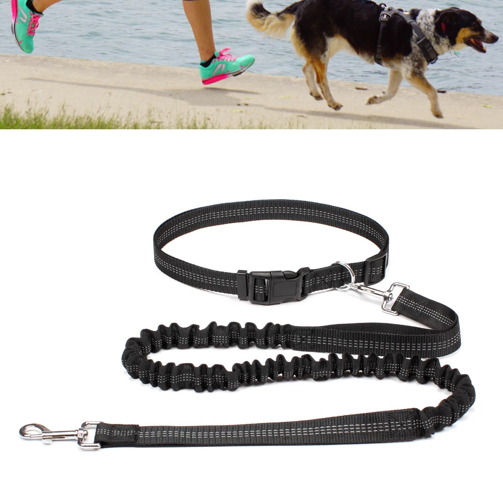 Hands-Free Dog Leash NZ | Adjustable Waist Belt & Chest Strap for Running, Walking & Jogging with Pets