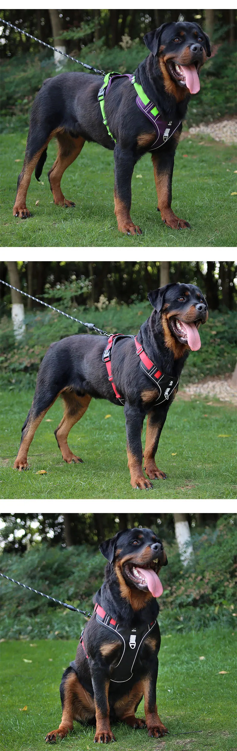 Reflective No-Pull Dog Harness NZ | Adjustable Saddle Chest Strap for Small to Large Dogs – PawNest