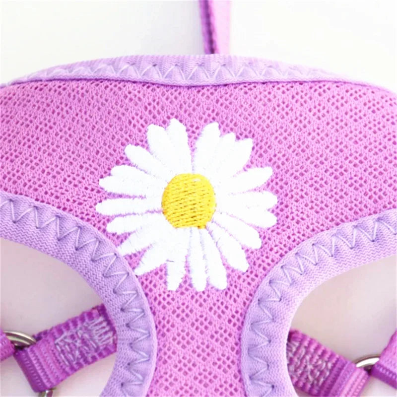 Daisy Embroidered Harness & Leash Set NZ | Small & Medium Dogs, Kittens, Puppies – PawNest
