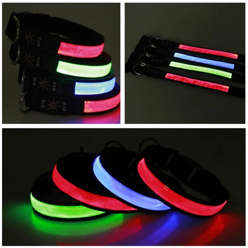 LED Glowing Dog Collar – USB Rechargeable Flashing Light