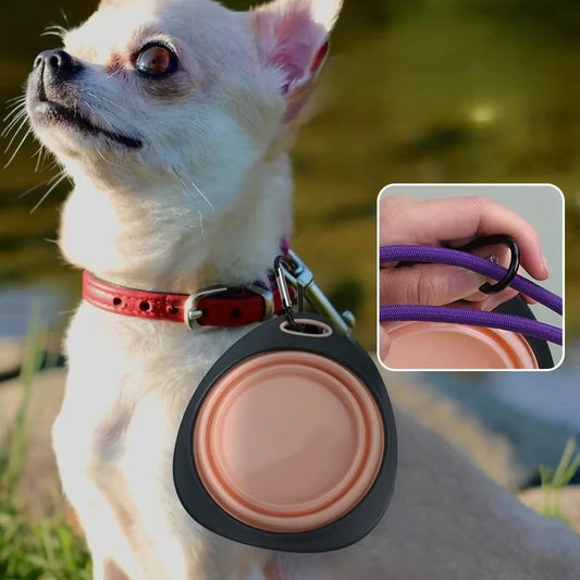 320ml Collapsible Silicone Dog Bowl – Travel Food & Water Dish