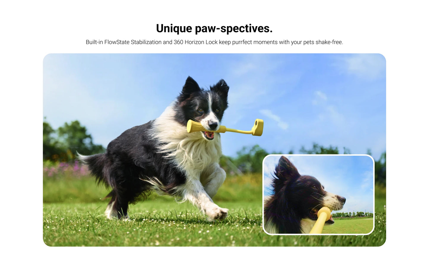 Fetch Stick for Dogs – Compatible with Insta360 GO 3 & GO 3S | Original Pet Camera Accessory
