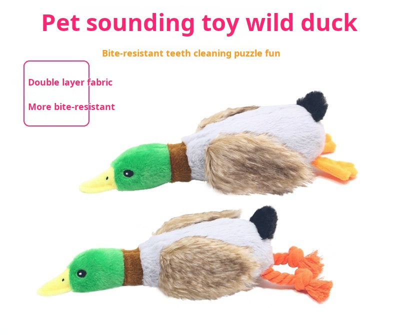 Mini Plush Squeaky Dog Toy NZ | Durable Chew Toy for Small & Medium Dogs and Cats – PawNest