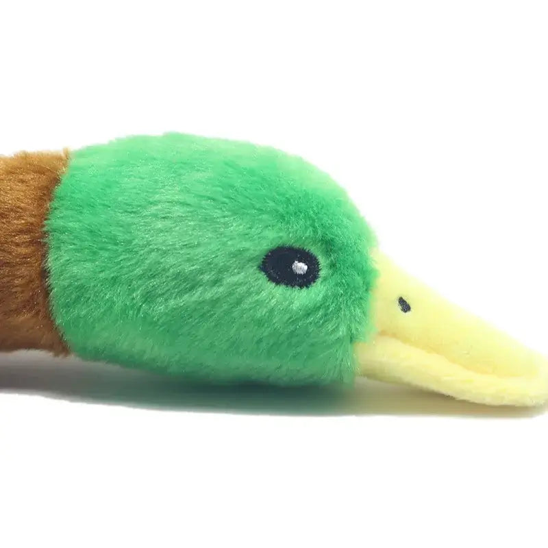 Mini Plush Squeaky Dog Toy NZ | Durable Chew Toy for Small & Medium Dogs and Cats – PawNest