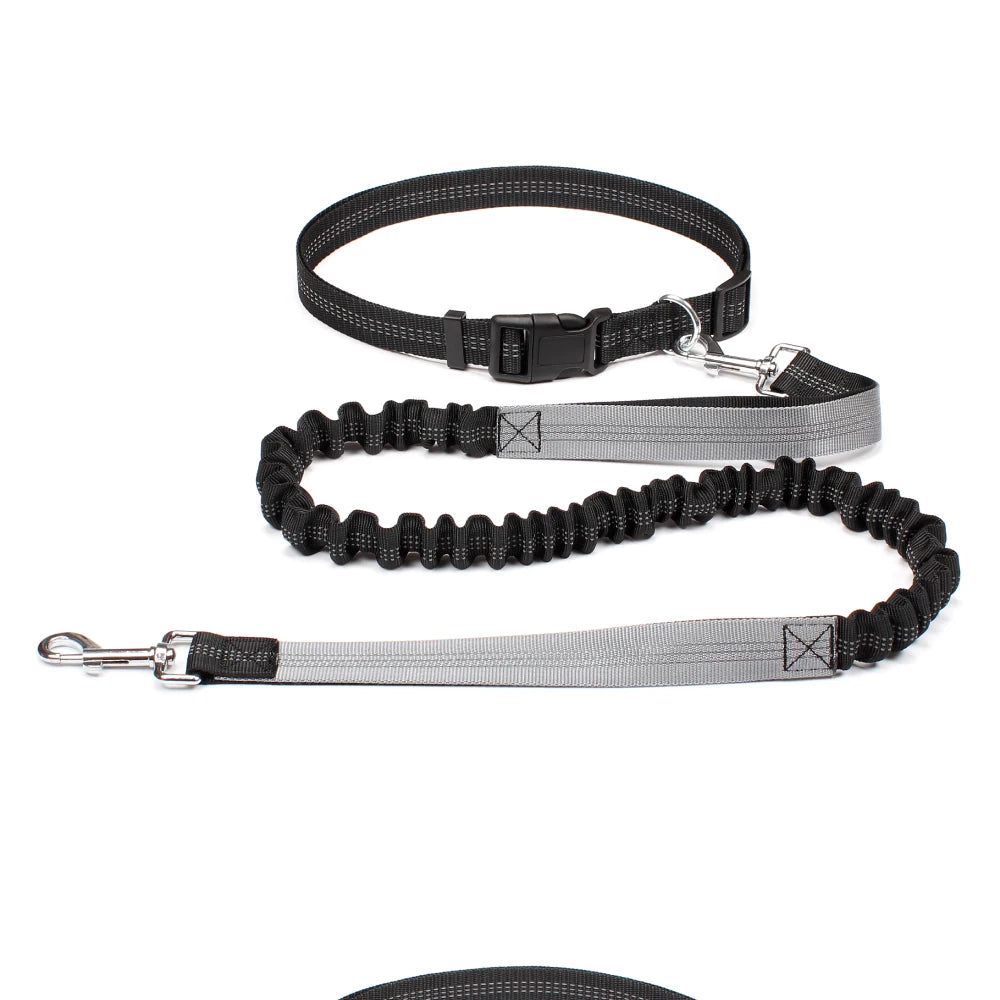 Hands-Free Dog Leash NZ | Adjustable Waist Belt & Chest Strap for Running, Walking & Jogging with Pets