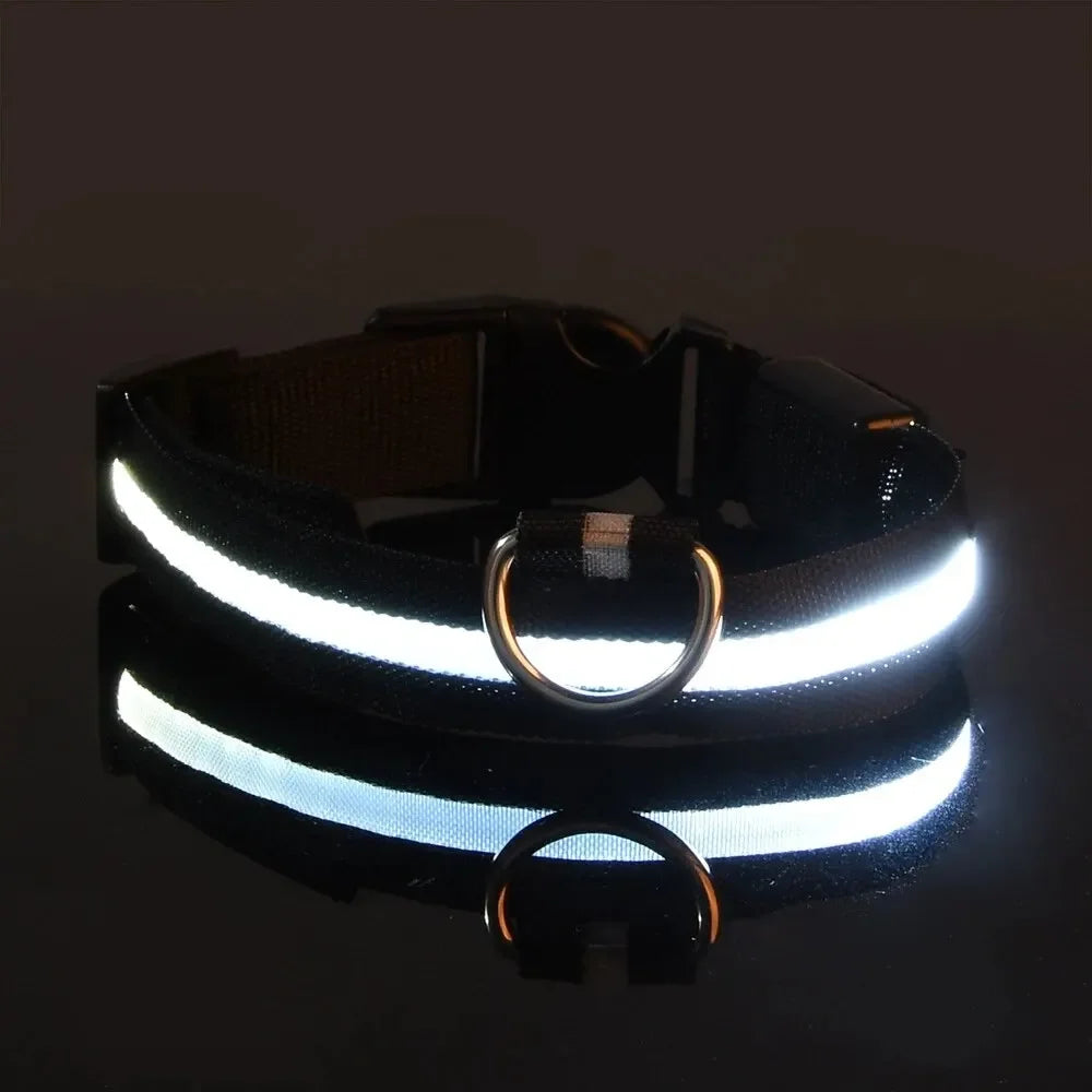 Light Up LED Dog Collar – Safety Flashing Glow Battery Collar