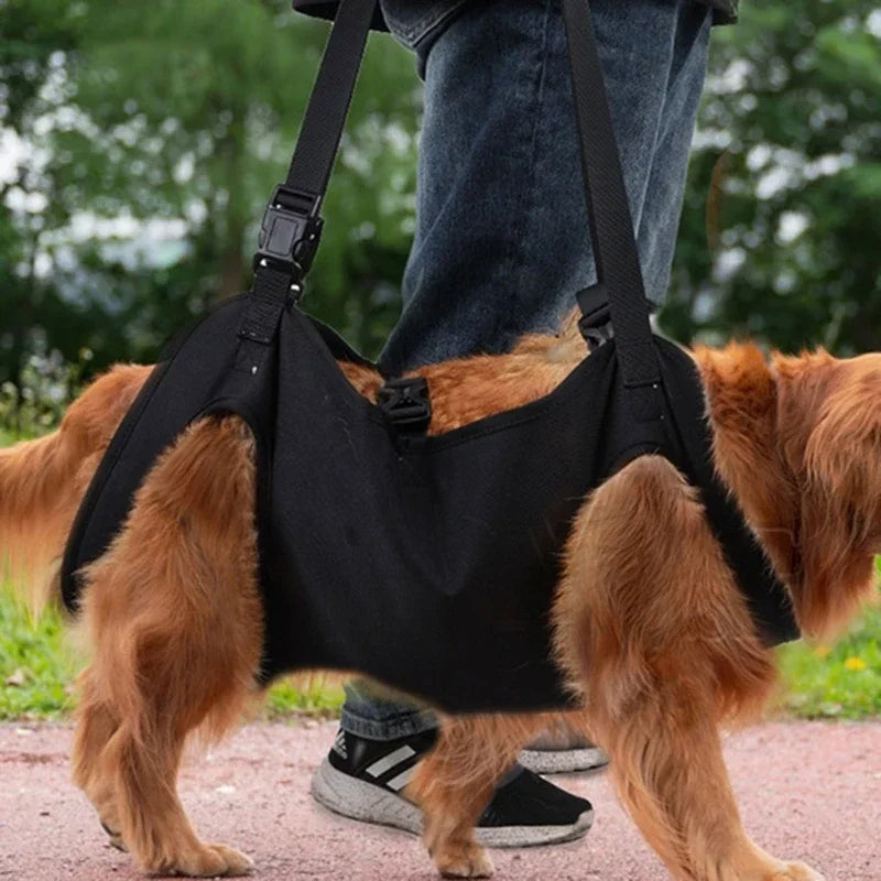Dog Lift Harness NZ | Full-Body Support Sling for Large Elderly, Injured & Disabled Dogs – PawNest
