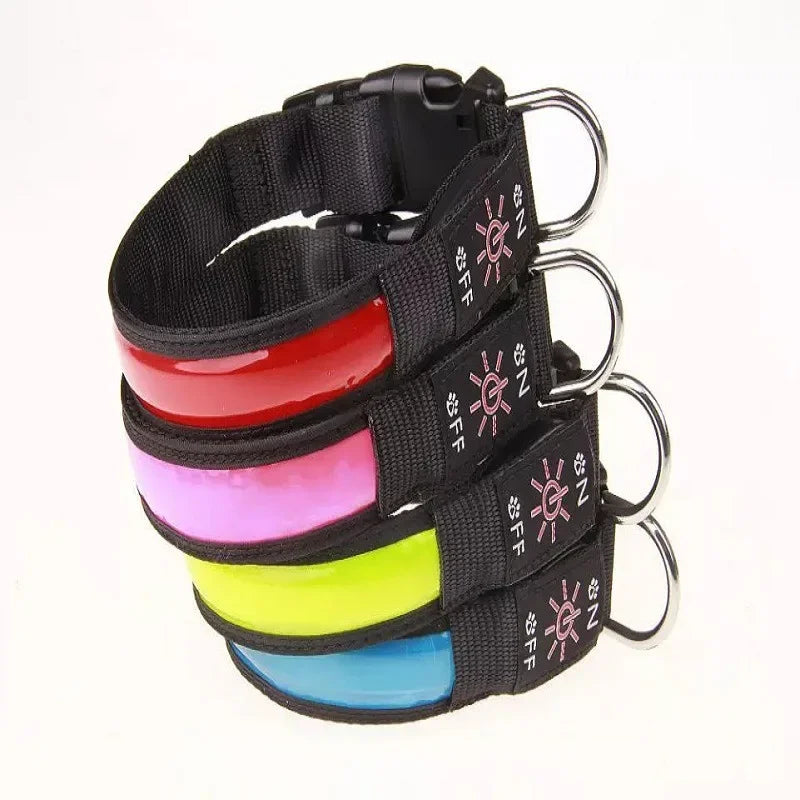LED Glowing Dog Collar – USB Rechargeable Flashing Light