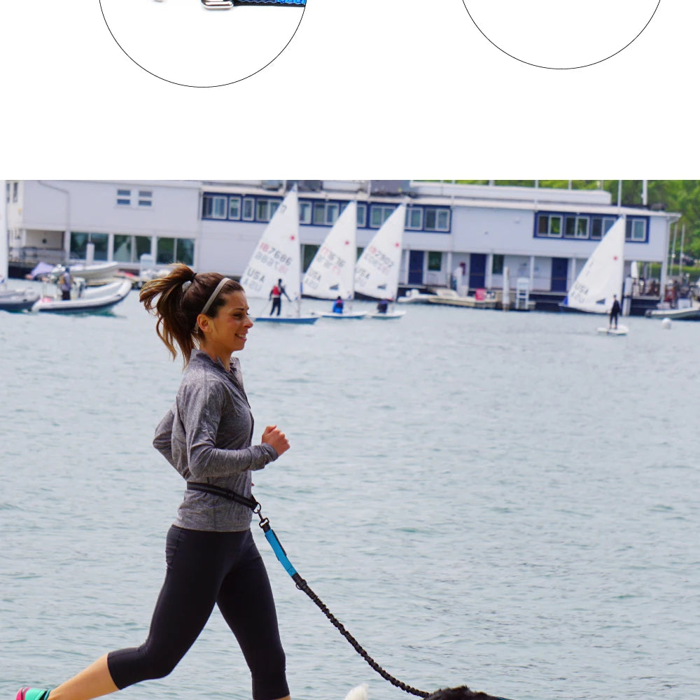 Hands-Free Dog Leash NZ | Adjustable Waist Belt & Chest Strap for Running, Walking & Jogging with Pets