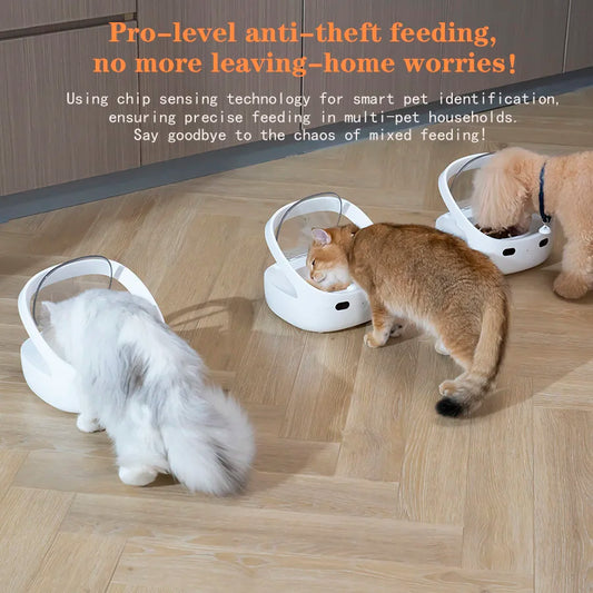 Smart Pet Feeder with Chip Recognition NZ | Anti-Snatch Food Dispenser for Cats & Dogs – PawNest