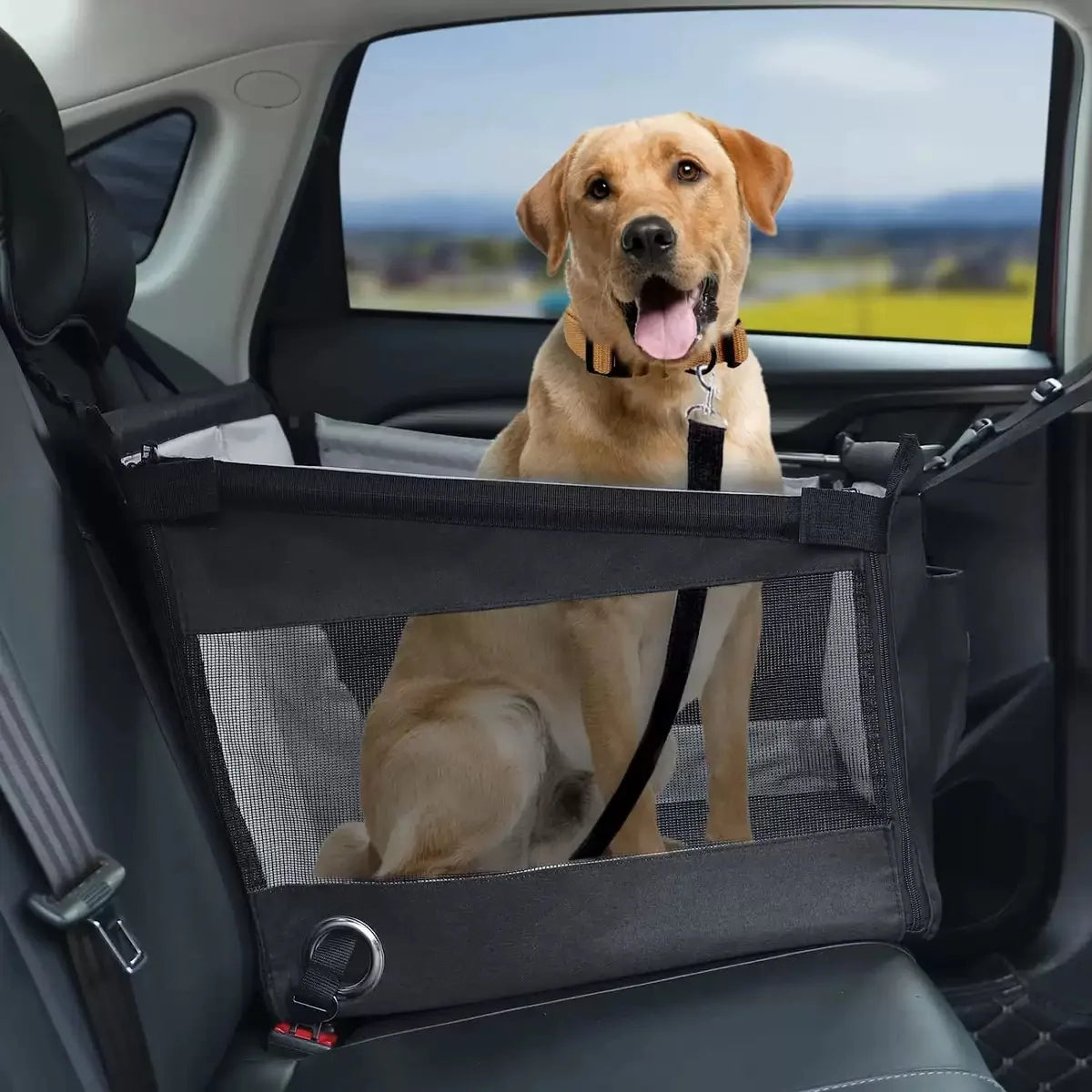 Car Pet Seat Carrier NZ | Safe, Waterproof Travel Basket for Puppies & Dogs – PawNest