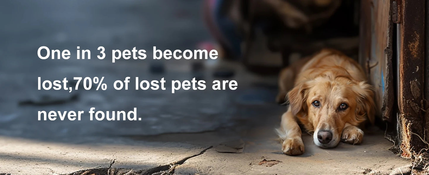 Global Pet Tracker NZ | Waterproof GPS Dog & Cat Tracker with App – Low Service Fee – PawNest