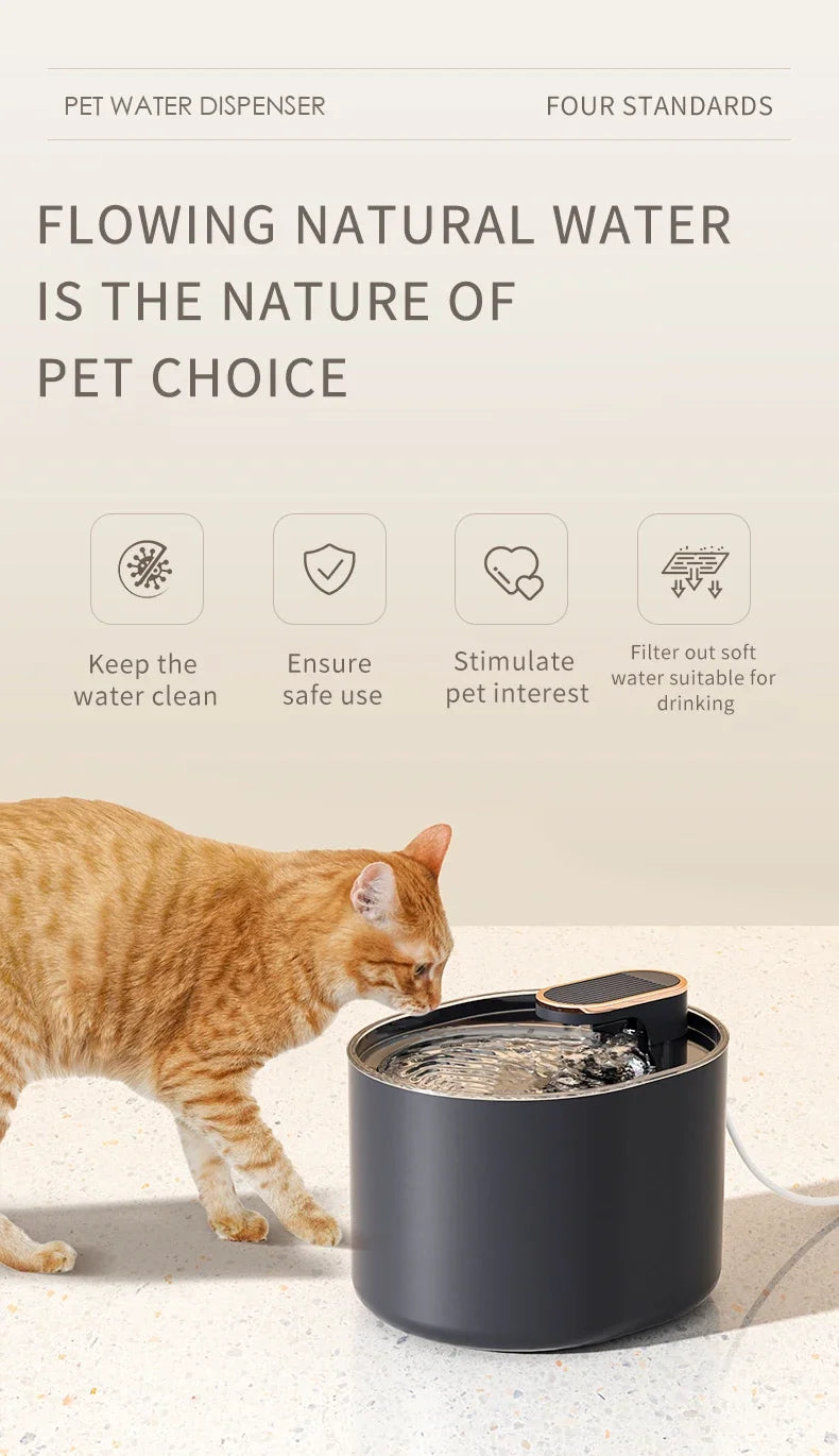 Automatic Cat Water Fountain NZ | USB-Charged Electric Pet Water Dispenser – PawNest