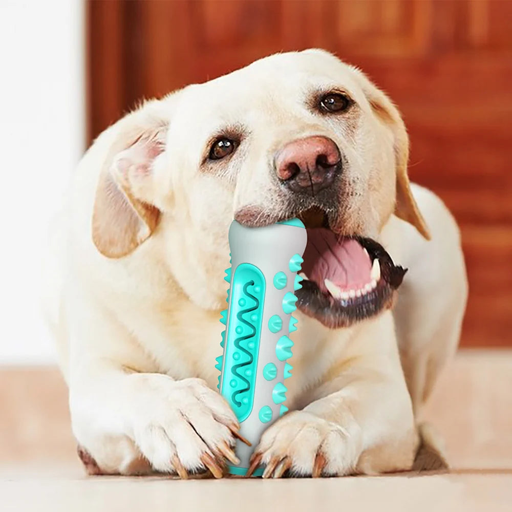 Dog Chew Toy & Treat Dispenser NZ | Interactive Teeth Cleaning Toy for Small & Large Dogs – PawNest