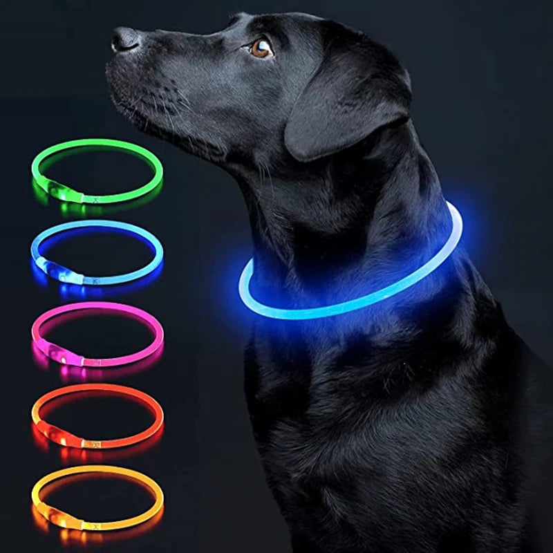 Luminous Dog Collar Light – USB Rechargeable LED Safety Collar