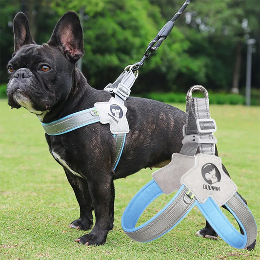 Adjustable Reflective Dog Harness NZ | Mesh Vest for Small & Large Dogs & Cats – PawNest