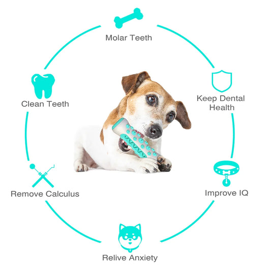 Dog Chew Toy & Treat Dispenser NZ | Interactive Teeth Cleaning Toy for Small & Large Dogs – PawNest