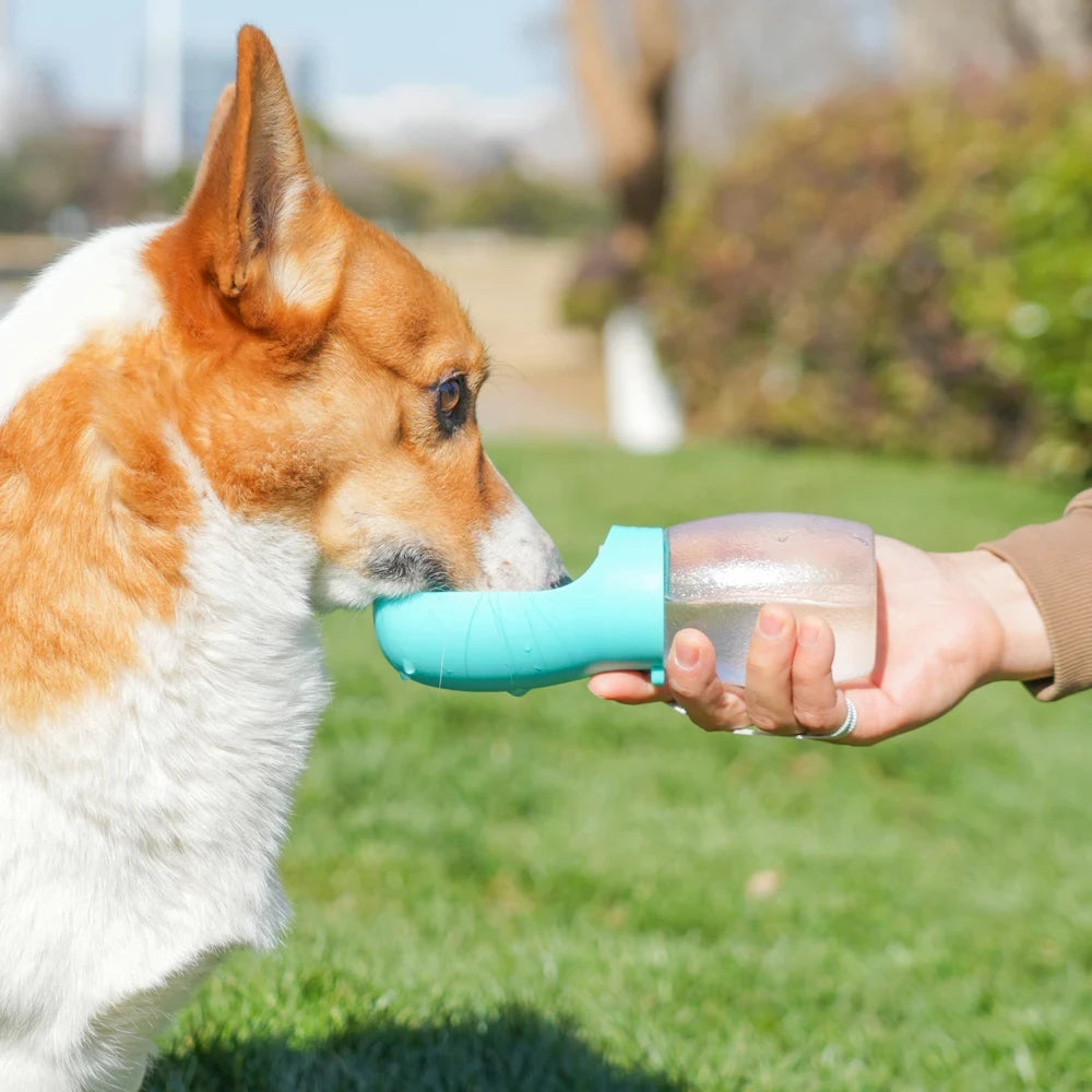 300ml Portable Dog Water Bottle – Leakproof Pet Travel Feeder