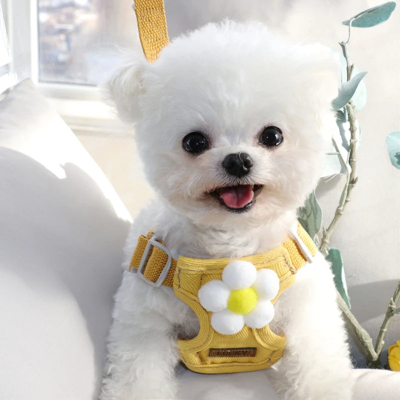 Fashion Adjustable Dog Harness NZ | Small & Medium Dog Chest Strap Vest for Walking – PawNest
