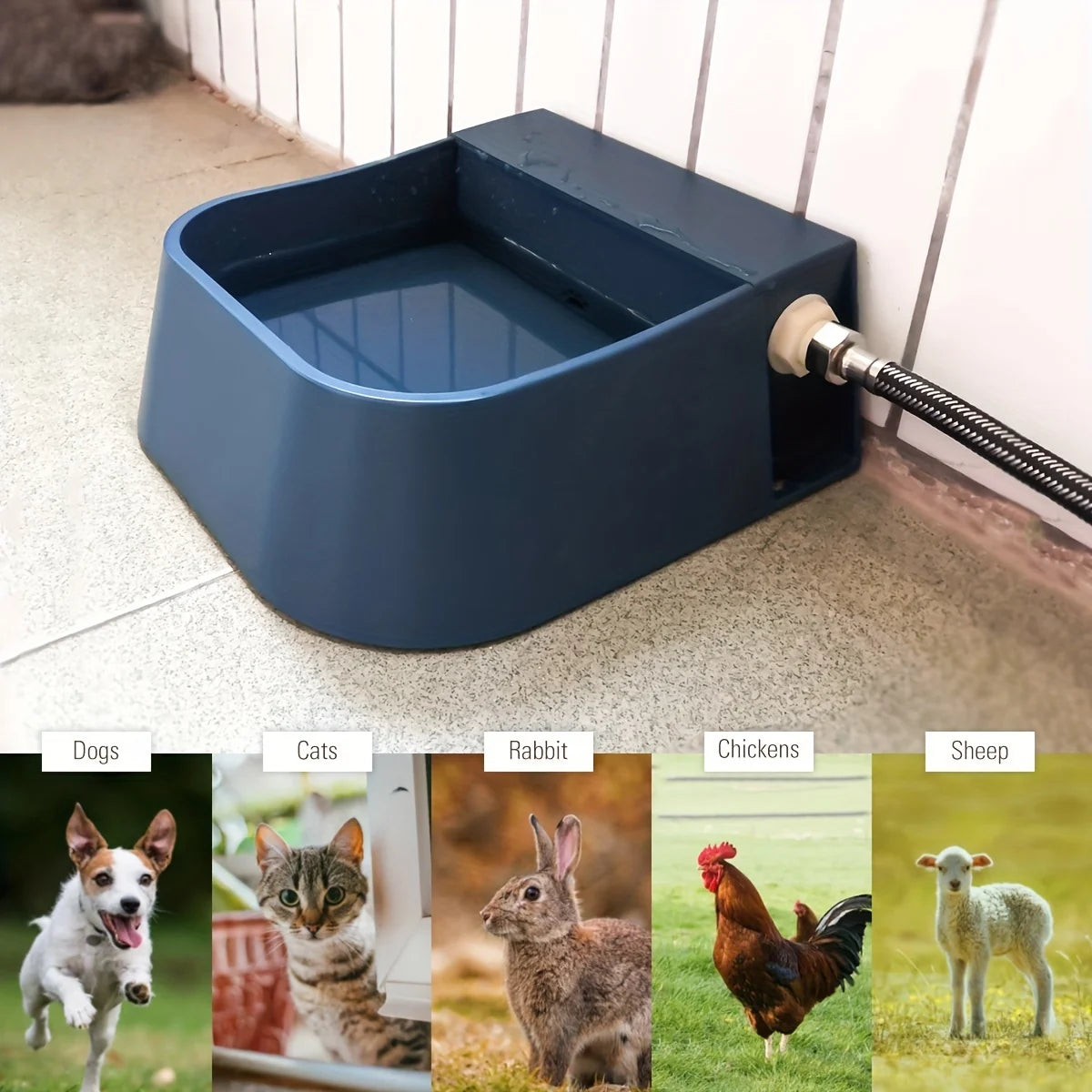 2L Automatic Pet Waterer NZ | Self-Filling Durable Water Bowl for Cats, Dogs & More – PawNest
