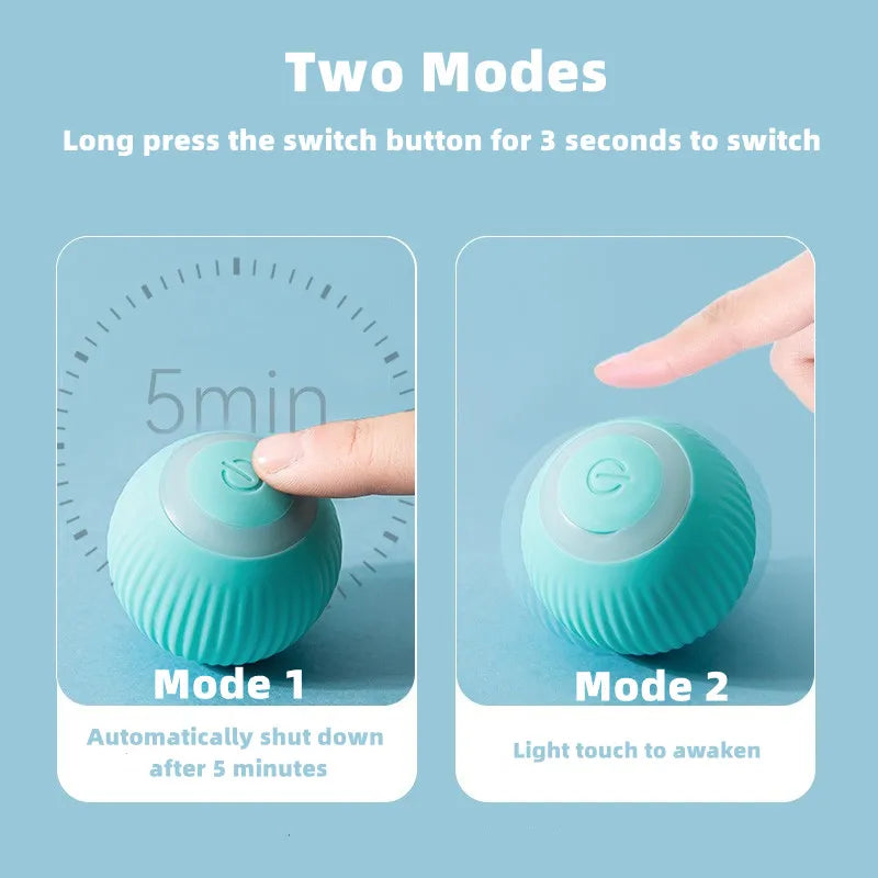 Electric Rolling Cat Ball Toy – Smart Interactive Cat Toy NZ | PawNest