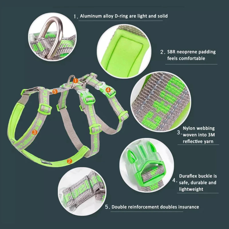 Truelove Nylon Reflective Dog Harness TLH6571 NZ | Durable SBR Buckle & Leash Compatible – PawNest