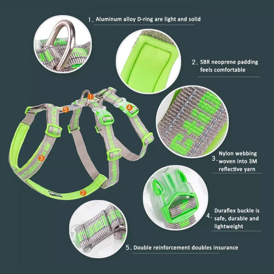 Truelove Nylon Reflective Dog Harness TLH6571 NZ | Durable SBR Buckle & Leash Compatible – PawNest