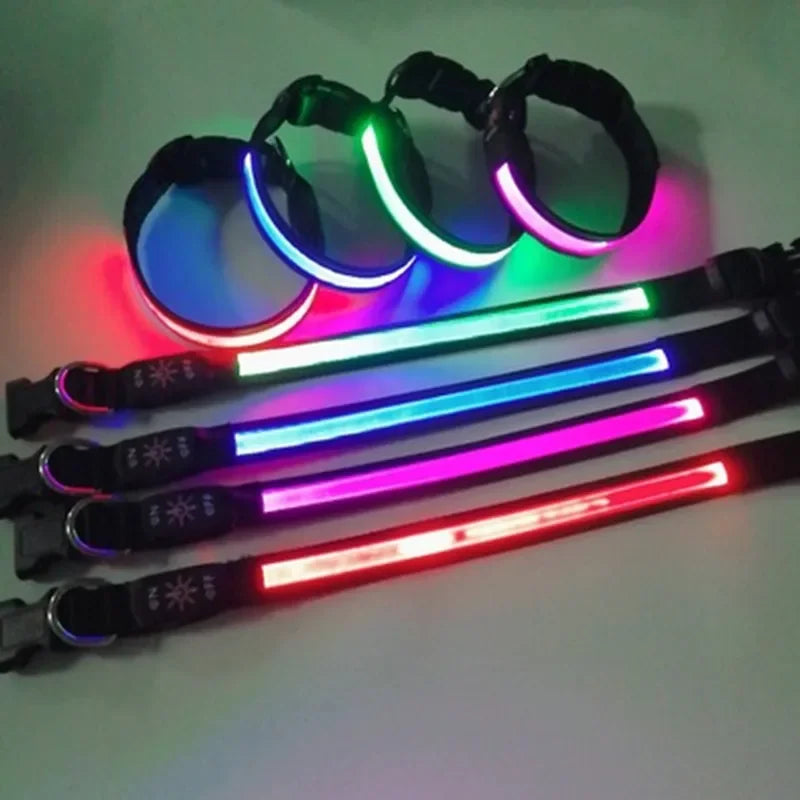 LED Glowing Dog Collar – USB Rechargeable Flashing Light